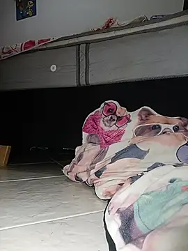 Van3orgasm4me online show from 02/13/26, 07:04