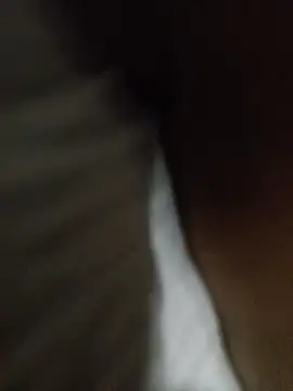 Snapshot of Taniyakuma chatting on 12/24/24, 03:16 Taniyakuma online show from 12/24/24, 03:16