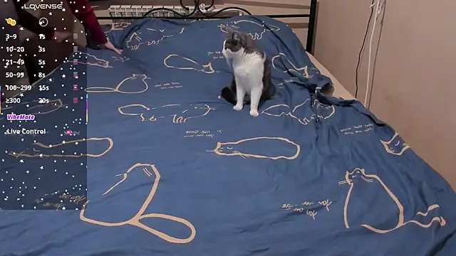 eva zero online show from 03/03/26, 02:01