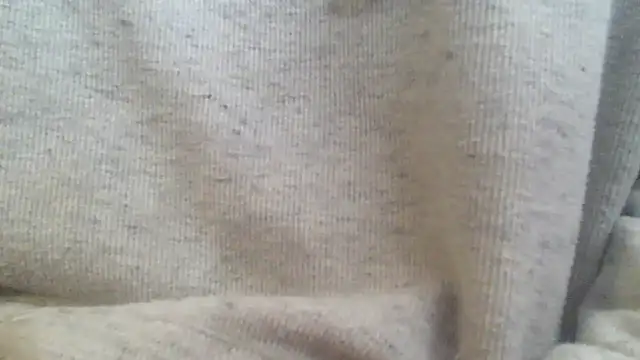 OralDesires2 online show from 02/17/25, 03:20