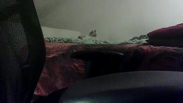 OralDesires2 online show from 02/19/25, 11:46