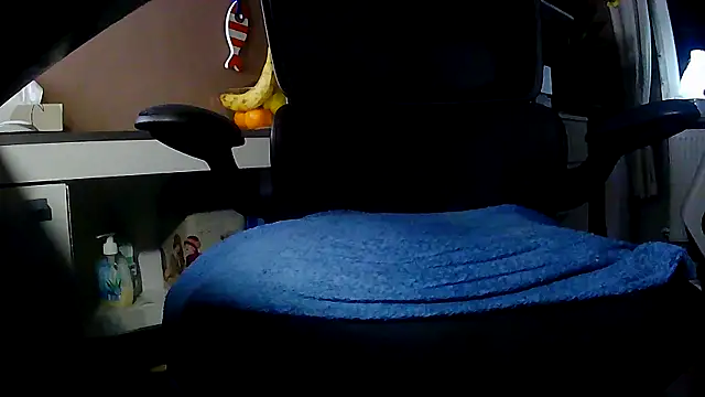 suedel65 online show from 11/29/25, 03:53