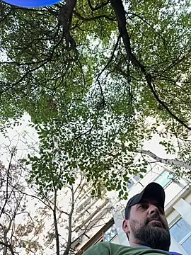 Snapshot of TigerOne19 chatting on 10/29/25, 10:17 TigerOne19 online show from 10/29/25, 10:17