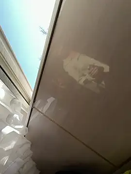 TigerOne19 online show from 03/09/26, 07:34