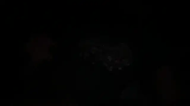 Snapshot of waveonce- chatting on 12/14/25, 07:36 waveonce- online show from 12/14/25, 07:36