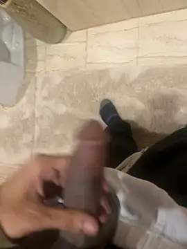 Snapshot of dingoding chatting on 12/28/24, 11:26 dingoding online show from 12/28/24, 11:26