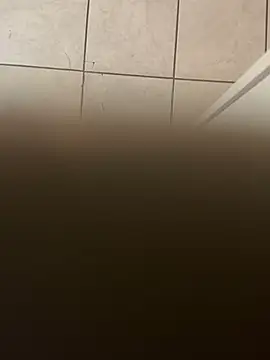 Snapshot of dingoding chatting on 01/10/25, 03:39 dingoding online show from 01/10/25, 03:39