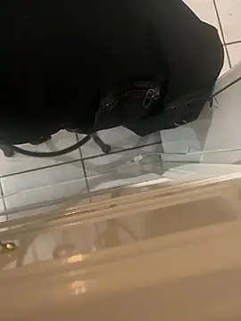 Snapshot of dingoding chatting on 01/24/25, 08:13 dingoding online show from 01/24/25, 08:13