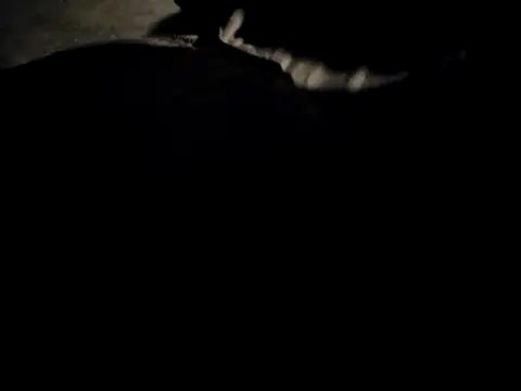 Midwest-exhibistionist online show from 02/22/26, 06:46