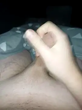 Snapshot of bertvanboere chatting on 01/05/25, 11:22 bertvanboere online show from 01/05/25, 11:22