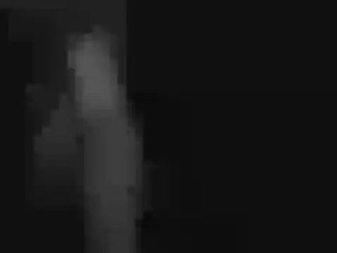 Snapshot of peaches_playz chatting on 11/25/25, 11:54 peaches playz online show from 11/25/25, 11:54