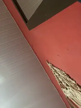 Snapshot of pimenta_gaby chatting on 11/04/25, 11:09 pimenta gaby online show from 11/04/25, 11:09