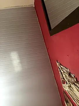 Snapshot of pimenta_gaby chatting on 11/15/25, 02:13 pimenta gaby online show from 11/15/25, 02:13