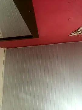 Snapshot of pimenta_gaby chatting on 11/30/25, 12:20 pimenta gaby online show from 11/30/25, 12:20