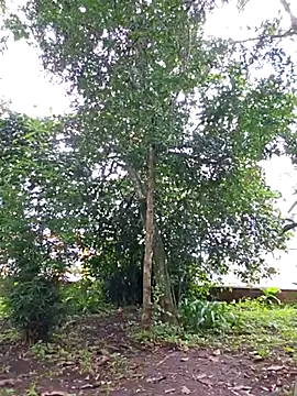 Snapshot of Yuky_ta chatting on 02/23/25, 05:50 Yuky ta online show from 02/23/25, 05:50