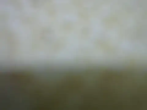 Snapshot of castistee chatting on 10/26/25, 10:36 castistee online show from 10/26/25, 10:36