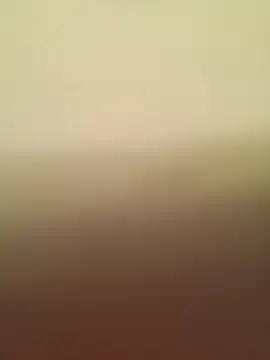 Snapshot of Mexicandeleon99 chatting on 09/14/25, 12:54 Mexicandeleon99 online show from 09/14/25, 12:54