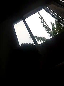 eu poseison online show from 10/15/25, 07:14