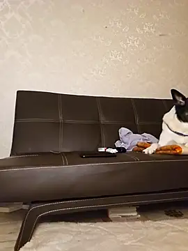 Snapshot of Marushka chatting on 12/21/24, 06:12 Marushka online show from 12/21/24, 06:12