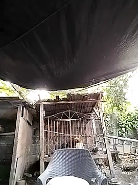 Snapshot of MS_Isabella_Snow92 chatting on 02/22/25, 10:42 MS Isabella Snow92 online show from 02/22/25, 10:42