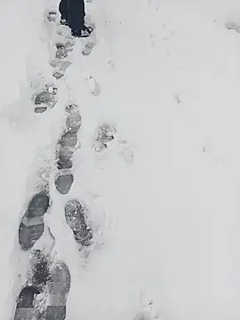 Saysomething3 online show from 01/11/26, 07:57