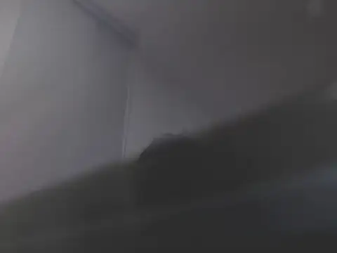 Snapshot of violetasweet11 chatting on 02/19/26, 07:04 violetasweet11 online show from 02/19/26, 07:04