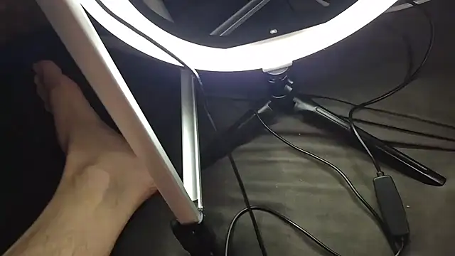 Majestic-Class online show from 02/02/26, 08:57