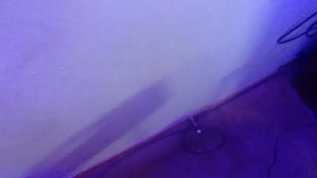 Snapshot of LumberJockMan chatting on 01/22/25, 05:05 LumberJockMan online show from 01/22/25, 05:05