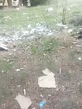 K-27 online show from 01/01/25, 03:46