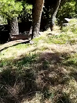 K-27 online show from 10/04/25, 10:24