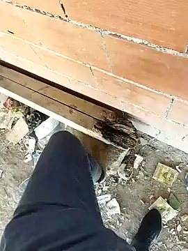 K-27 online show from 10/05/25, 09:07