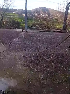 K-27 online show from 02/18/26, 04:14