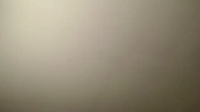 agatha prime online show from 03/30/26, 11:28