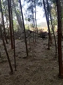 Snapshot of Gopal1243 chatting on 02/26/25, 02:15 Gopal1243 online show from 02/26/25, 02:15