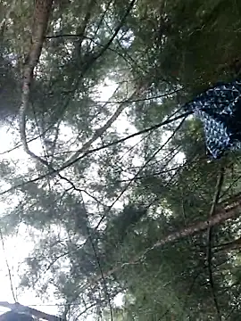 Snapshot of Gopal1243 chatting on 09/28/25, 06:19 Gopal1243 online show from 09/28/25, 06:19