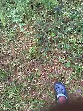 Snapshot of Gopal1243 chatting on 10/27/25, 01:31 Gopal1243 online show from 10/27/25, 01:31