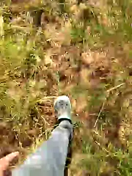 Snapshot of Gopal1243 chatting on 01/07/26, 07:55 Gopal1243 online show from 01/07/26, 07:55