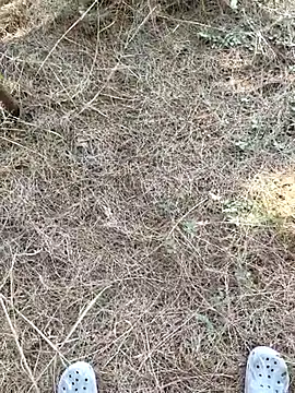 Snapshot of Gopal1243 chatting on 01/09/26, 07:55 Gopal1243 online show from 01/09/26, 07:55