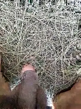 Snapshot of Gopal1243 chatting on 02/19/26, 08:10 Gopal1243 online show from 02/19/26, 08:10