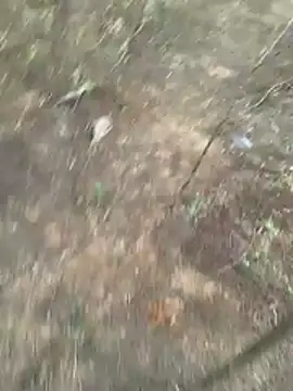 Snapshot of Gopal1243 chatting on 03/27/26, 01:11 Gopal1243 online show from 03/27/26, 01:11