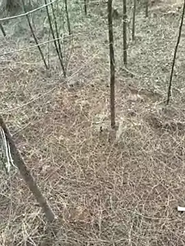 Snapshot of Gopal1243 chatting on 04/09/26, 01:16 Gopal1243 online show from 04/09/26, 01:16