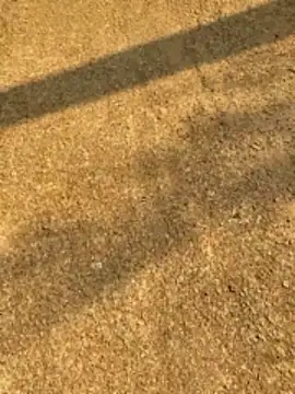 Snapshot of Gopal1243 chatting on 04/12/26, 02:27 Gopal1243 online show from 04/12/26, 02:27