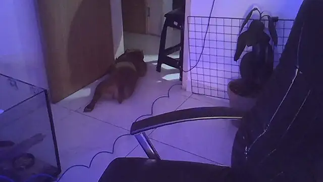 myamillor online show from 12/14/24, 01:17