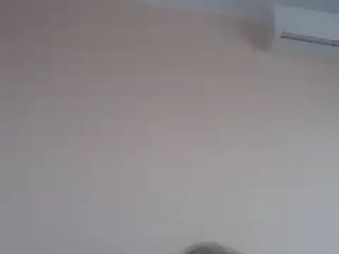 aavocadok online show from 12/12/24, 08:03