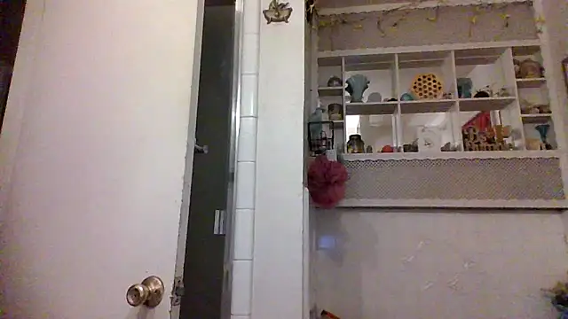 Snapshot of ClumsyLink chatting on 10/26/25, 03:56 ClumsyLink online show from 10/26/25, 03:56