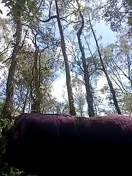 Snapshot of strollnrg069 chatting on 12/05/24, 02:31 strollnrg069 online show from 12/05/24, 02:31