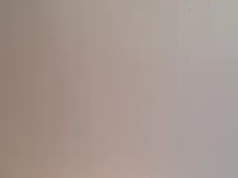 Snapshot of highstepper500 chatting on 12/25/24, 02:02 highstepper500 online show from 12/25/24, 02:02