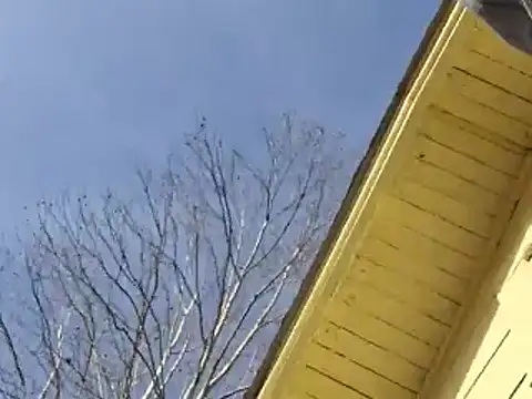 Snapshot of highstepper500 chatting on 12/25/24, 11:10 highstepper500 online show from 12/25/24, 11:10