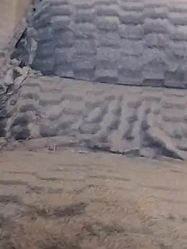 Snapshot of LoGaNfree88 chatting on 04/13/26, 01:11 LoGaNfree88 online show from 04/13/26, 01:11