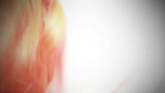 Snapshot of MayaAkashova chatting on 11/01/25, 05:04 MayaAkashova online show from 11/01/25, 05:04